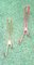 Curved Wall Hooks, 1950s, Set of 5 2