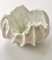 Coral Bowl by N'atelier, Image 2