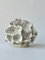 Keramik Korallen Skulptur von N'atelier Ceramics 1