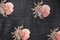 Divano floreale in ciniglia, anni '70, set di 3, Immagine 8