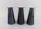 Austrian Black Art Glass Beatrice and Nora Vases by Stölzle-Oberglas, Set of 3 2