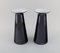 Austrian Black Art Glass Beatrice and Nora Vases by Stölzle-Oberglas, Set of 2 2