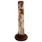 Antique Emile Gallé Vase in Frosted and Light Brown Art Glass, Image 1