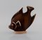 Fish in Glazed Ceramics by Gunnar Nylund for Rörstrand 6