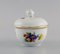 Antique German Hand-Painted Porcelain Lidded Bowl, Image 2