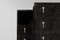 Art Deco Black F427 Chest of Drawers in Ceruse Style by Paul Follot 5