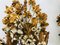 Big German Florentine Flower Shaped Wall Lamps by Hans Kögl, 1950s, Set of 2 8