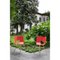 Stuhl aus naturbelassenem Eichenholz mit 4 Beinen von Colé Italia, 4er Set 8