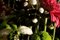 Bouquet de Fleurs Colorées Mix II, 2021, Impression Giclée 6