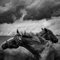 Andrea Schuh, A Horses Under a Cloudy Sky, Photograph 1