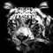 Andrew Davies, Persischer Leopard, Fotografie 1