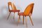 Mid-Century Czech Chairs by Antonín Šuman, 1950s, Set of 2 8