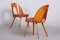 Mid-Century Czech Chairs by Antonín Šuman, 1950s, Set of 2, Image 8