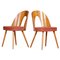 Mid-Century Czech Chairs by Antonín Šuman, 1950s, Set of 2, Image 1