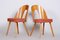 Mid-Century Czech Chairs by Antonín Šuman, 1950s, Set of 2 5