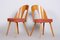 Mid-Century Czech Chairs by Antonín Šuman, 1950s, Set of 2, Image 5