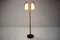Mid-Century Adjustable Wood Floor Lamp from Humpolec, 1970s, Image 10