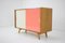 Mid-Century Sideboard by Jiří Jiroutek, 1960s 4