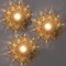 Amber Glass Wall Lights Sconces by Helena Tynell for Glashütte Limburg, Image 2