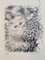 Helène Neveur, Sketch of Cat, Original Lithographie, 1970er 1
