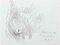 Seific Needrens, Sketch of Cat, Drawing, 2000, Image 1
