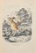 Paul Gervais, Alactaga Pfeil, Original Lithographie, 1854 1