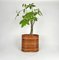 Mid-Century Italian Rattan and Bamboo Oval Basket Plant Holder Vase, 1960s, Image 9