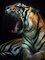 Fotografia Aprison, Tigre di Sumatra che apre la bocca e si crogiola al sole, Fotografia, Immagine 1