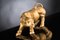 Italian Opaque Gold Ceramic Wall Street Bull Sculpture from VGnewtrend 2