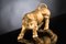 Italienische undurchsichtige goldene Wall Street Stier Skulptur aus Keramik von VGnewtrend 2