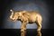 Italian African Ceramic Mother Elephant Opaque Gold Sculpture by VG Design and Laboratory Department 1