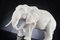 Italian African Ceramic Father Elephant Sculpture by VG Design and Laboratory Department 3