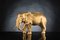 Italian African Ceramic Father Elephant Opaque Gold Sculpture by VG Design and Laboratory Department 2