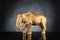 Italian African Ceramic Father Elephant Opaque Gold Sculpture by VG Design and Laboratory Department, Image 2