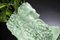 Busto Hércules italiano en verde menta de Marco Segantin para VGnewtrend, Imagen 2