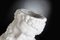 Italian Ceramic Hercules Vase by Marco Segantin for VGnewtrend, Image 6