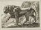 J. Meyer, Pacing Lion, 17th-Century, Etching, Image 2