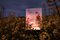 Artur Debat, quadratischer Spiegel, der Dramatic Sunset Landscape, Fotografie reflektiert 1