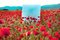Artur Debat, Spiegel, der blauen Himmel zwischen rotem Mohnblumen-Feld während des Frühlinges in Spanien, Fotografie reflektiert 1
