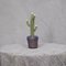Wassergrüne Kaktuspflanze aus Muranoglas, 1990er 7