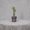 Murano Art Glass Water Green Cactus Plant, 1990s 1