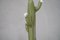 Murano Art Glass Water Green Cactus Plant, 1990s 2