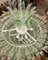 Lampadario a forma di palmette in vetro di Murano verde, anni '90, Immagine 5