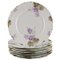 Iris Dinner Plates in Hand-Painted Porcelain from Rosenthal, Germany, Set of 6 1