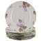 Iris Dinner Plates in Hand-Painted Porcelain from Rosenthal, Germany, Set of 6, Image 1