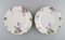 Iris Dinner Plates in Hand-Painted Porcelain from Rosenthal, Germany, Set of 6 2