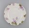 Iris Dinner Plates in Hand-Painted Porcelain from Rosenthal, Germany, Set of 8 3