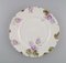 Iris Dinner Plates in Hand-Painted Porcelain from Rosenthal, Germany, Set of 8, Image 3