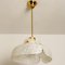 Flower Pendant Lamp from Hillebrand, Europe, Germany, Image 10