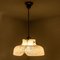 Flower Pendant Lamp from Hillebrand, Europe, Germany 4